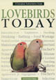 LovebirdsToday...