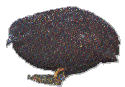 Donkergrijs